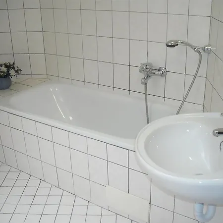 Forman Mlada Boleslav
