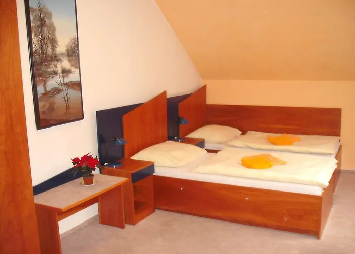 Forman Mladá Boleslav